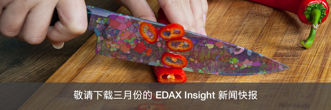 敬请下载三月份的 EDAX Insight 新闻快报