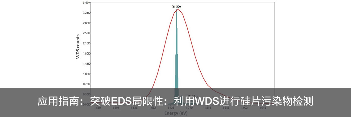 应用指南：突破EDS局限性：利用WDS进行硅片污染物检测