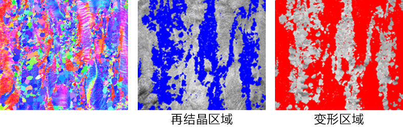 在这个部分再结晶的钢样品中，可以单独识别和分析变形和再结晶区域，以更好地了解再结晶行为