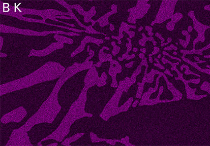 查看我们的新应用简报：“使用大面积无窗EDS探测器在轻元素检测方面的突破”