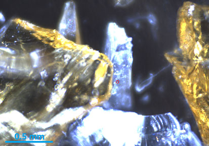 阅读我们最新的应用简报：“使用 EDAX Orbis II 微束XRF 系统进行高精度法医玻璃分析”