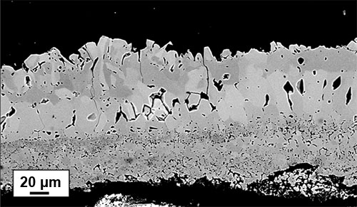 图 1. 在 1,200 °C 下 加热4 小时后在 316L 不锈钢上形成的氧化皮的背散射电子显微图片。 