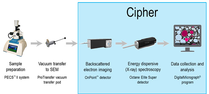 Schematic of Cipher workflow including (from left to right) sample preparation in Gatan PECS II, followed by vacuum transfer to SEM chamber where qBSE and EDS are performed. Once collected, these data are combined and analyzed to produce estimates for Li content.